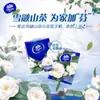 V0038 Papel de Pañuelo Ultra-Resistente Vinda 4 Capas 8 Hojas 36 Paquetes Paquete Pequeño Servilletas Papel Higiénico Venta al por Mayor Pulpa de Madera Original