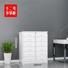 Flais Steel Office Armário de arquivamento de ferro Armário de dados Armário de arquivamento com fechadura Multi-porta armário armário guarda-roupa