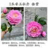 2025 Nuevo Fabricante de Peonías Rosas Artificiales Flor de Peonía Rosa Rosa Rocío Loto Guía de Camino de Boda Flor Artificial Al por Mayor