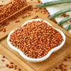 Sorgo Vermelho com Casca para Pássaros, Mistura Nutritiva para Papagaios, Periquitos, Agapornis, Calopsitas e Outras Espécies de Papagaios