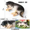 Modelos de Animales Realistas: Doberman, Golden Retriever, Perro de Peluche, Husky, Collie - Adornos para Coche y Juguetes para Niños