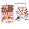 Bolsa de Flores Secas para Manualidades con Flores en Relieve, Marcapáginas de Flores en Relieve, Bolsa de Flores en Relieve, Material para Pintura en Relieve, Pegamento para Flores Reales, Hojas Secas