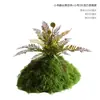 Musgo Sintético Decoración Suave para Interiores Conjunto de Micro-Paisajismo Combinación Ventana Pasillo Musgo Falso Planta Verde Decoración de Paisajismo Arreglo