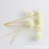 Garrafa de Aromaterapia Não-fogo Teaming Garrafa Silam Garrafa de Vidro Vazia Garrafa de Aromaterapia com Líquido Volátil Garrafa de Aromaterapia
