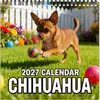 Calendário 2027 Chihuahua de Jardim Foto de Filhote Fofo Calendário de Parede Espiral Amazon Temu Atacado Transfronteiriço