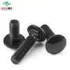 Parafusos de Carrinho de Aço Inoxidável 304 Preto com Múltiplas Cabeças, Suportes de Ponte com Cabeça Semicircular e Pescoço Quadrado, Parafusos Quadrados de Cabeça Chata M4, M5, M6, M8