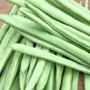 Colhidos e Enviados Frescos, Vagens Frescas de Hubei, Legumes Frescos da Fazenda, Legumes da Estação, Vagens, Feijão Verde, Feijão Vermelho, Frete Grátis