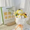 Serie Nueva Melodía 2026 Regalo de Cumpleaños para Niñas, Ramo de Peluches Set Completo, Osito de Peluche y Rosas