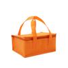 Bolsa Térmica Personalizada para Piquenique ao Ar Livre, Bolsa Térmica Isolada para Levar Bolo, Bolsa Térmica Isolada de TNT com Alça de Mão, Bolsa Térmica com Folha de Alumínio e Bolsa de Gelo para Conservar Frescos