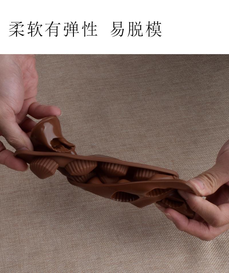 2款海星贝壳详情图_06.jpg