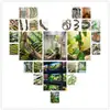 Enredaderas de Árbol de Ratán Artificial Accesorios de Película Decoración de Interiores Paisajismo Enredaderas de Plástico Escalada de Reptiles Simulación Enredaderas Grises