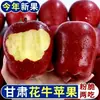 Manzanas Frescas Tian Shui Huaniu de Gansu, Caja Entera de Temporada, Recién Recolectadas, Aptas para Mujeres Embarazadas y Comida para Bebés, Suaves y Dulces