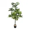 Plantas Verdes Artificiales Desmontadas Transfronterizas, Árbol de Camelia Decoración de Interiores, Flores Artificiales para Sala de Estar, Plantas de Rosas en Maceta