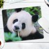 Mouse pad panda Feiyun Qizi e Ye Po com trava de borda antiderrapante mouse pad super longo mesa pode ser personalizada