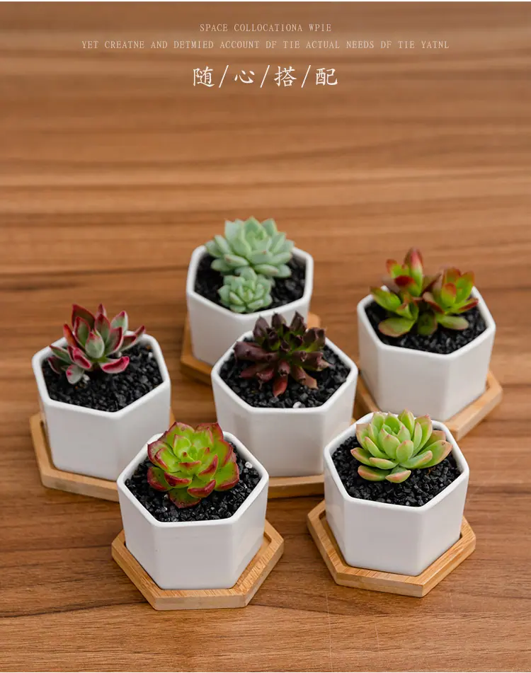 花盆18_08.jpg