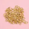 Acessórios para Joias DIY Liga de Zinco Galvanizada Fecho Lagosta Fecho de Colar Fecho de Pulseira Fecho de Corrente de Extensão em Estoque Fornecimento Direto