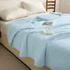 Modelo Nuevo Primavera/Verano 2026 Nylon Enfriamiento Aire Acondicionado Colcha de Verano - Glaciar