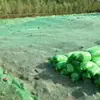 Red de Cubierta de Tierra para Obra, Red de Cubierta Encriptada Verde para Tierra y Carbón, Protección Ambiental, Forestación Municipal, Uso Marino, Red Supresora de Polvo, Protección Ambiental