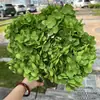 Fabricante de Flores Artificiales para Bodas Verdes Hortensia Verde Rosa Rocío de Golondrina Loto Bola de Cebolla Decoración Suave para Bodas Flor Artificial al por Mayor