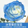 Tinta Spray para Flores, Corante Azul Gelo Triturado Ameixa, Flor de Sabão, Flor Seca, Spray de Arte Floral, Suprimentos para Floricultura Atacado