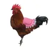 Protetor de Penas para Pet Transfronteiriço Suporte Avental Protetor de Costas para Galinha Avental de Selim para Frango Camada Dupla