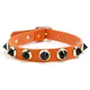 Estilo Punk Europeu e Americano Exagerado Colar de Couro Gola Personalizado Street Style Boate Rock Corrente para Clavícula Feminina Gola Manga de Pescoço