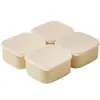 Conjunto de Lancheira de Frutas para Camping Alimentos de Grau Alimentício Caixa para Piquenique ao Ar Livre Caixa Portátil para Armazenamento de Frutas e Vegetais Caixa Selada