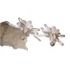 Cadena para Clavícula con Borla Floral Estilo Bosque y Hada, Collar Nupcial Dulce y Elegante, Conjunto de Estilismo de Vestido de Novia de Alta Gama