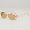 Óculos de Sol Cat-Eye para Mulheres, Estilo Europeu e Americano, Armação Oval Pequena, Escolhas de Influenciadores da Moda, Óculos de Sol Retrô Americanos