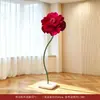 Conjunto de decoração para quarto de casamento, flores artificiais para sala de estar de casa nova, atmosfera de casamento com placa "felicidade dupla", fundo de roupão