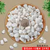 Arena de fondo para acuario, piedras decorativas, juego completo de piedras florales de lluvia ecológicas naturales, piedras luminosas y piedras en bruto
