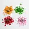 Nueva flor seca japonesa para uñas 12 colores estrella girasol Margarita 12 colores decoración de flor seca 24 flores secas para uñas