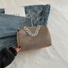 Bolsa pequena de corrente feminina 2024 primavera nova bolsa transversal de ombro all-match bolsa casual estilo coreano bolsa feminina de nicho