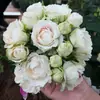Hacker Queen Jugo Rosa Maceta Balcón Patio Villa Flor Planta Cuatro Estaciones Dropshipping