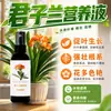 Solución nutritiva Clivia fertilizante especial promotor de brotes de orquídea prevención de hojas amarillas tratamiento de pudrición de raíces fertilizante universal para flores para plantas de interior en maceta