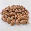 Sinos de Casca de Noz, DIY Artesanal, Atacado de Materiais de Casca de Noz, Acessórios para Brincos com Som de Gotejamento de Água do Cérebro, Outros Não Aplicáveis