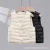 2026 Novo 90 Penugem de Pato Branco Colete Acolchoado Feminino Curto Gola V Leve Camada Interna Roupa Externa Quente Colete