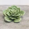 Venda Quente Transfronteiriça Cabeça de Flor Suculenta Simulada DIY Planta Flor Artificial Criativa Estilosa Planta Verde Decoração de Casa Fabricante da Fonte