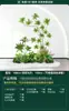 Set de Paisajismo Simulado para Exhibidores de Ventanas Interiores, Decoración de Escaleras, Paisaje de Plantas Verdes Simuladas, Arreglo de Jardín, Adornos de Decoración de Plantas en Maceta