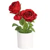 Flor Rosa Musgo Em Vaso Restaurante Mesa de Jantar Recepção Mesa de Janela Pátio Jardim Decoração