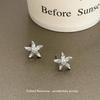 Brincos de Estrela-do-Mar de Pérola e Diamante Inteiros Delicados e Fofos para Mulheres, Super Brilhantes, Exquisitos, Estilosos, Exagerados, Design Único