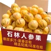 Fruta de Ginseng Bosque de Piedra de Yunnan 2.5 kg Frutas de Ginseng Frescas Grandes, Fruta Redonda de Pulpa Amarilla Colorida, Envío Gratis 10