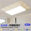 Nova Luminária de Teto para Quarto Simples e Grandiosa Luz para Sala de Estar de Casa Espectro Completo Proteção para os Olhos Luz para Corredor Iluminação Zhongshan Ferro Outros