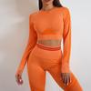 Novo Conjunto de Shorts Esportivos de Manga Curta e Longa Europa e América Transfronteiriço Sutiã Top Fitness Colete Malha Roupa de Yoga Feminino