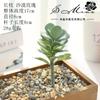 004 Cabeza de Flor de Planta Suculenta Verde Afelpada Suministros Creativos para Bricolaje Accesorios para Colgar en la Pared Decoración de Flores para el Hogar Planta Verde Shangyi
