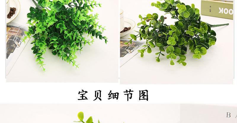详5.jpg