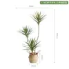 Madera del Milenio Planta Verde Artificial Lujosa Elegante Accesible Sala de Estar Interior Grande Árbol de Sangre de Dragón Planta de Flores Artificiales Maceta Adornos de Pie