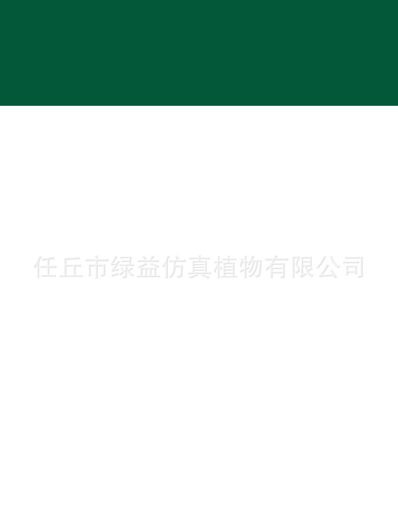 详情页_43.jpg