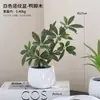 Decoração de planta em vaso de planta verde para simulação transfronteiriça sala de estar bar flor artificial flor de simulação decoração de flor de alto nível