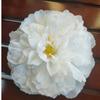 Tocado de flor de peonía rica artificial decoración de pared de flores caja de regalo de flor artificial flor de seda caja de flores europea y americana flor artificial al por mayor y al por menor